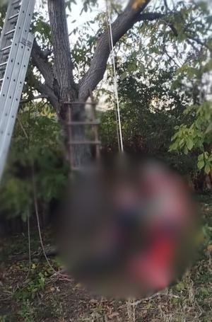 Un vasluian de 51 de ani, găsit de soţie mort într-un nuc. Bărbatul a rămas agăţat pe o creangă la 10 metri înălţime