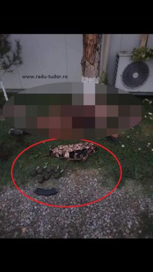 Imagini cu teroriştii care au ucis un ofiţer român la Kabul, în Afganistan