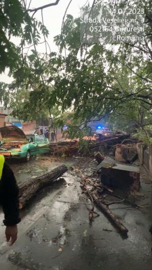 Bărbat din București, la un pas de moarte după ce un copac a strivit mașina în care se afla