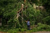 Cod galben de vânt puternic în cinci județe din România. Rafalele vor ajunge până la 70 km/h. Zonele vizate