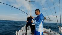 Specia rară, originară din Pacific, care a ajuns în apele litoralului românesc. Un kilogram costă 63 de lei
