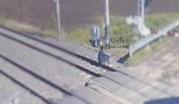 Momentul în care un bărbat din Alba este spulberat de tren, surprins de o cameră de supravegehere