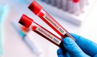 Lista țărilor care au confirmat cazuri de hantavirus după focarul de pe nava MV Hondius