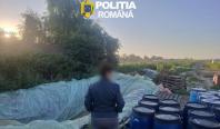 8 tone de varză murată, distruse după ce au fost găsite depozitate în gropi săpate în pământ, în Dâmboviţa