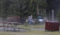 Momentul în care un bizon atacă un turist şi îl aruncă la peste 2 metri înălţime, sub privirile nepotului