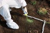 "Am plecat să îmi caut pisica”. După 45 de ani, misterul dispariţiei unei milionare a fost rezolvat