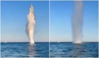 Fragment de dronă cu încărcătură explozivă, neutralizat în apropiere de Sulina