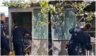 Misiune mai puţin obişnuită pentru jandarmii din Galaţi. Ce au găsit în gospodăria unei femei