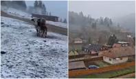 Locul din România unde s-au înregistrat -9°C la final de aprilie. În Suceava a nins ca în plină iarnă