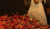 A început sezonul cireşelor: "Pregătim o dulceață de cireșe după rețeta bunicii"
