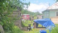 Un bărbat de 38 de ani din Bacău şi-a ucis tatăl, pentru că mama lui nu i-a dat bani de băutură