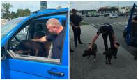 Panică în parcarea unui mall din Galaţi, unde 2 câini amstaff umblau liberi. Reacţia jandarmilor