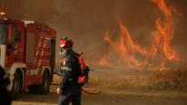 Descoperire şocantă după incendiile din Franța: peste 400 de obuze neexpolodate, găsite sub o pădure