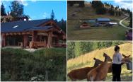 Afacerea de familie născută la 1.200 de metri altitudine în Bucovina. Astăzi, turiștii urcă muntele pentru ea