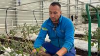 Leguma care nu lipseşte de pe masa românilor de Sărbători. Cultivată în România, chiar şi iarna