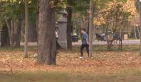 Frunzele căzute, noul motiv de dezbatere în Primăria Capitalei: Frumoase în poze, dar periculoase