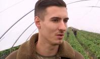Fructul românesc de vară care se vinde cu 40 de lei/kg în prag de noiembrie. Fermierii culeg tone zilnic