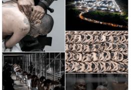 Imagini din mega-închisoarea din El Salvador, cu mii de deținuți dezbrăcați încătușați. „Au văzut exteriorul pentru ultima oară”