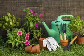 Ce să pui la rădăcina florilor ca să crească mari și frumoase. Ingredientul banal care le ajută să se dezvolte inclusiv pe caniculă