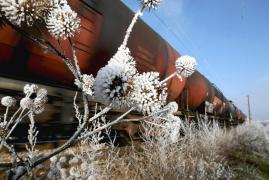 Veste bună pentru weekend. Maximă de 8 grade