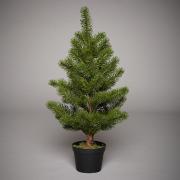 Să ne inspirăm de la americani! În SUA, brazii de Crăciun se închiriază