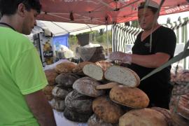 Se intampla in Egipt: paine pe baza unei cartele