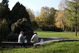 Prognoza METEO: cum va fi vremea in urmatoarele zile