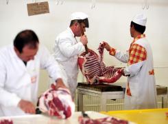 SCANDAL DUPA SCANDAL: Carne de caine, gasita in mancarea fast-food din Marea Britanie
