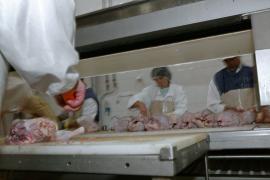 ANSVSA: Garantam ca puii cu Salmonella nu au ajuns pe piata