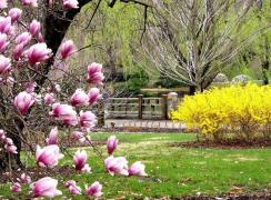 Prognoza meteo pentru 1 Mai si Paste