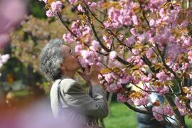 Prognoza METEO: cum va fi vremea in urmatoarele zile
