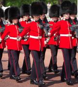 100 de militari din regimentul de garda al reginei Marii Britanii, bolnavi de scabie