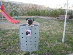 Myke vedeta blocului