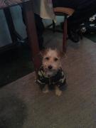 Un romantic incurabil