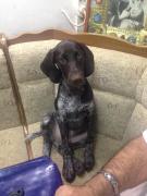 Fetitza noastra  SARA