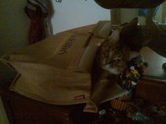 De transportat...de bunavoie