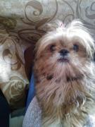 adelatoader@yahoo.com