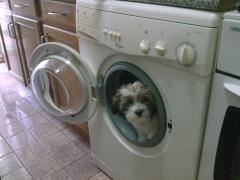 Fiecare cu casuta lui