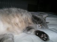 Nu-i asa ca sunt frumoasa?