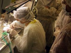 Institutul Cantacuzino va produce vaccin antigripal