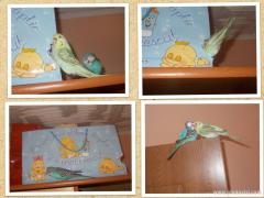 Si totusi sa nu exageram cu dragostea