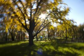 Prognoza METEO pentru miercuri si joi