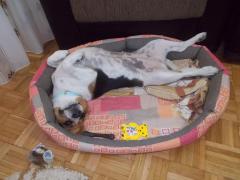 Sasha.......printesa noastra