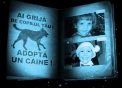 Ai grija de copilul tau! Adopta un caine!
