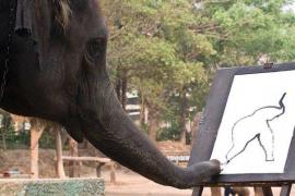 Elefantul căruia i se spune Picasso! Îşi face autoportretul cu trompa