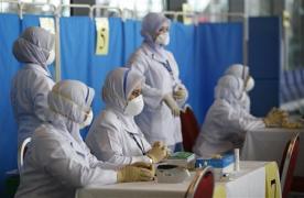 Gripa porcină înaintează în Europa. 2 oameni au murit în Spania