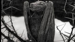 Lacul ăsta este BLESTEMAT! Imaginile par desprinse din filme HORROR