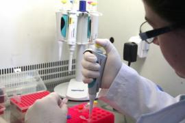 TEST RAPID pentru depistarea Ebola