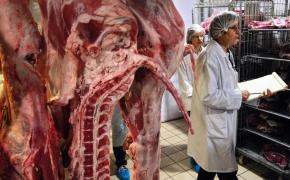 Rusia INTERZICE importurile de carne din Republica Moldova!