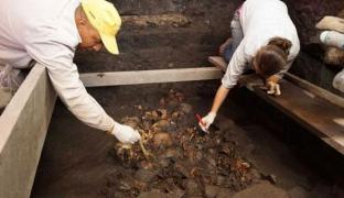 FOTO! Operaţiile pe creier acum 2.300 de ani